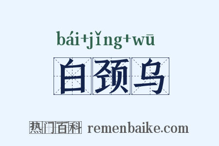 白颈乌是什么意思的图片